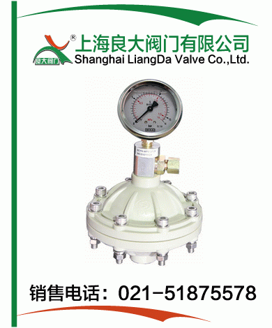 PP、PVDF脈沖阻尼器